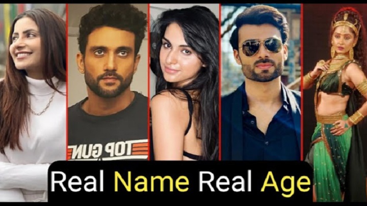 Shivshakti Serial Cast and Real Names